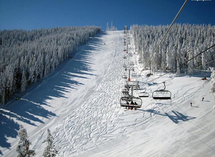 Zlatibor Hills Royal Lägenhet Exteriör bild