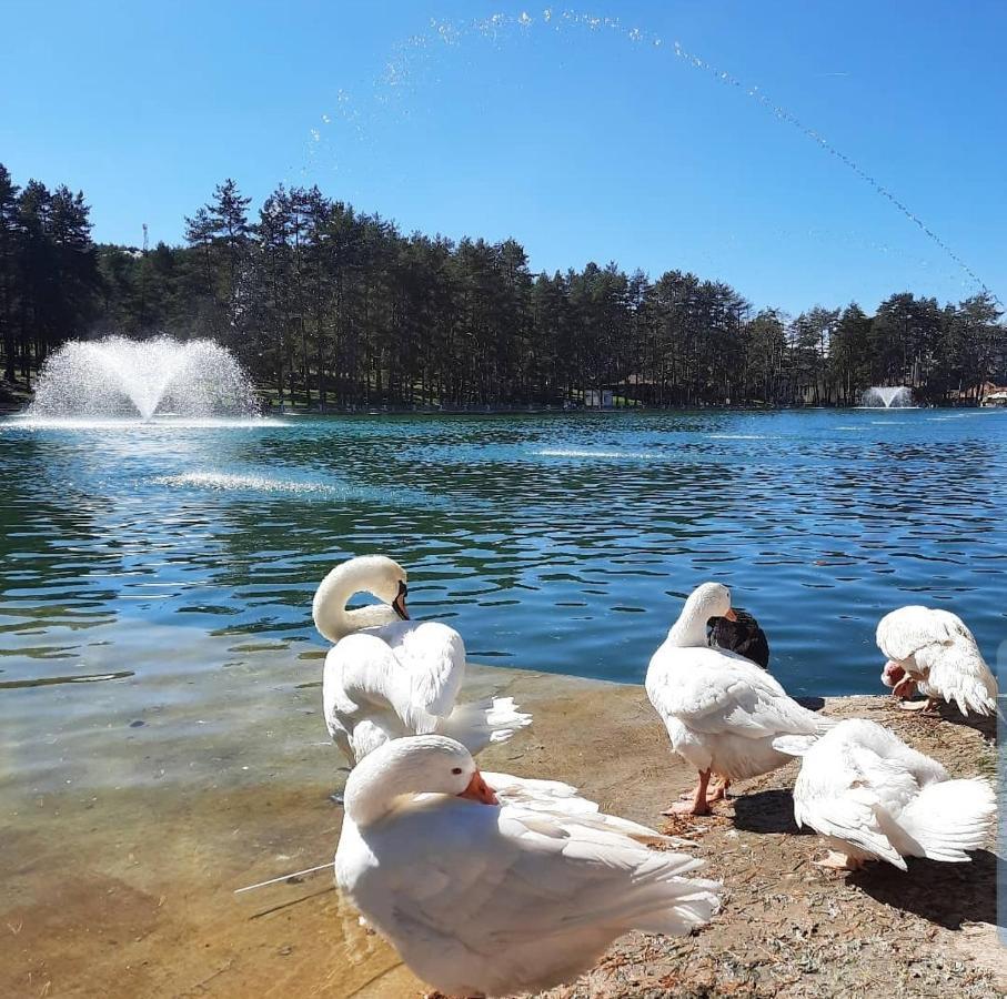 Zlatibor Hills Royal Lägenhet Exteriör bild