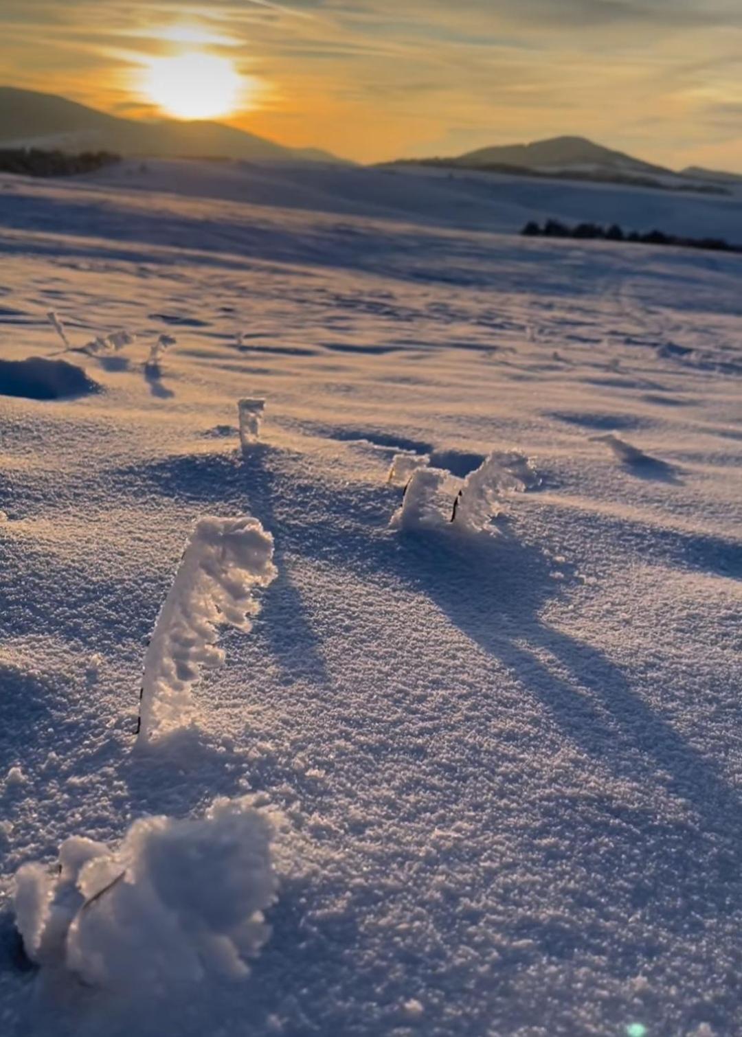 Zlatibor Hills Royal Lägenhet Exteriör bild